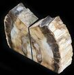 Gorgeous Petrified Wood (Sequoia) Bookends - Oregon #29139-1